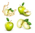 Set of green apple. A whole apple cut in half and slices. Royalty Free Stock Photo